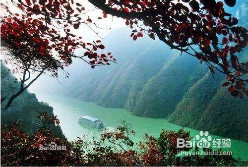 {賭馬}(冬季重庆周边旅游景点大全)